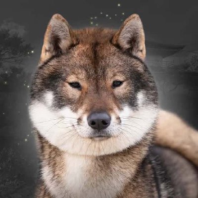 Shikoku