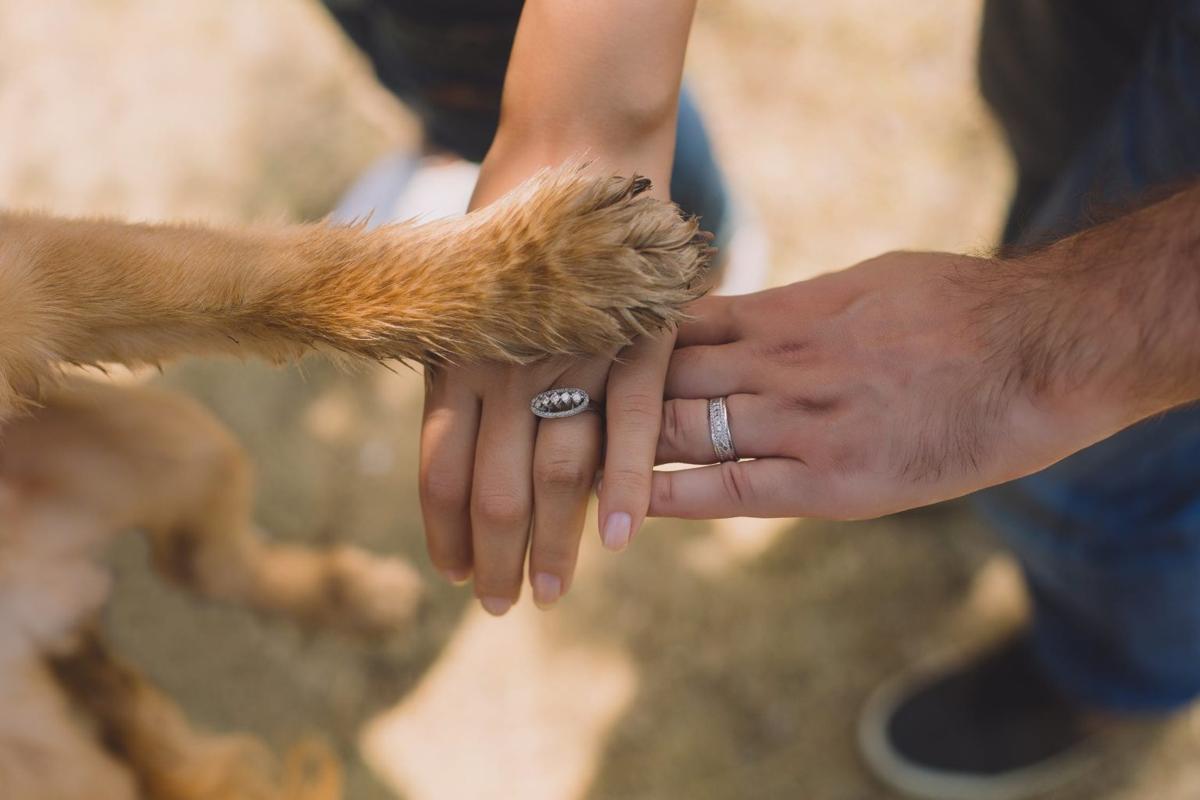 ¿Cómo cortar la quinta uña de un perro?